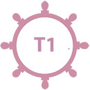 timon-tafrutado